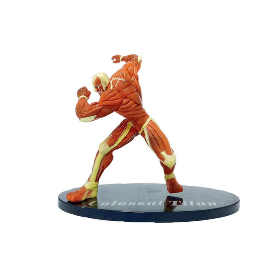 Attack on Titan Titan Figure Set – 16cm PVC Collectibles